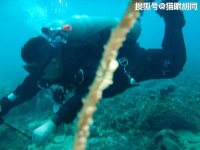 黑龙江大学自学俄语本科游戏画面