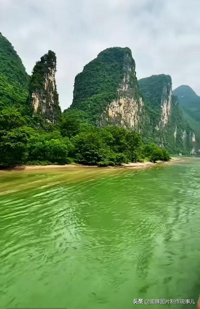 皇室家族