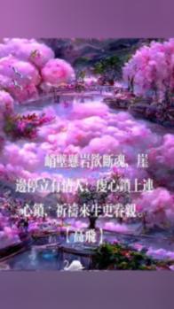 天天趣抓